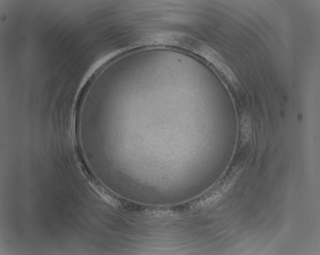 X0000051270886200506171224