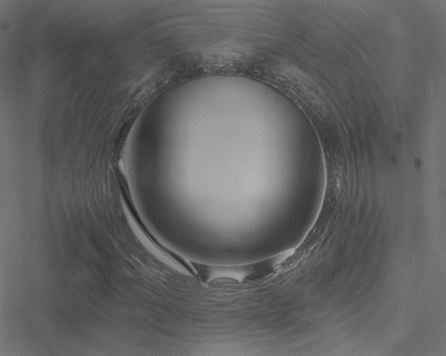 X0000051270964200506171222