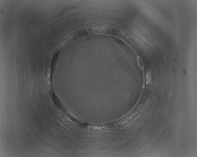 X0000051271011200506171221