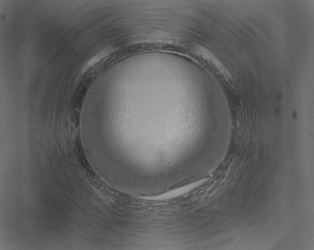 X0000051271064200506171221