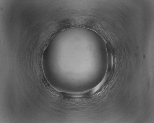 X0000051271153200506171219
