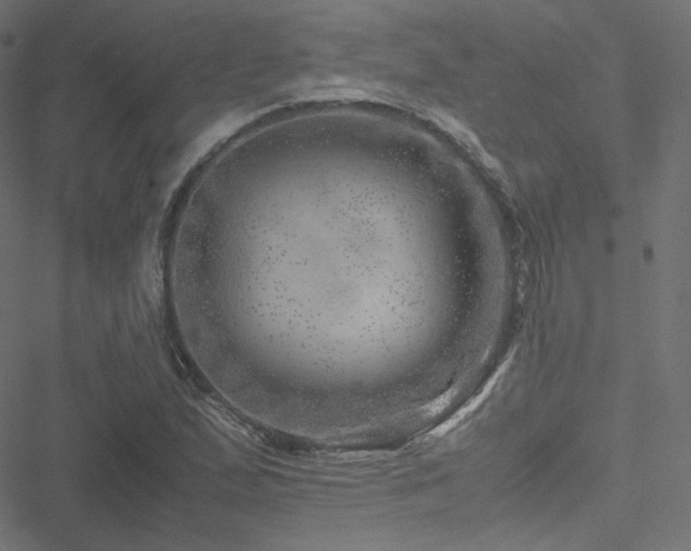 X0000051271167200506171219