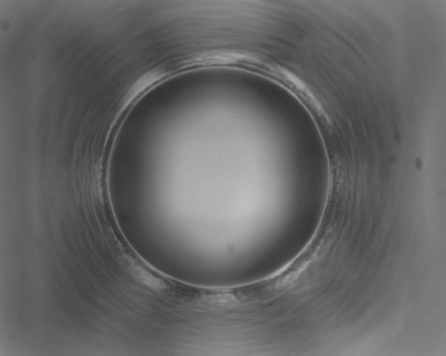 X0000051271186200506171219