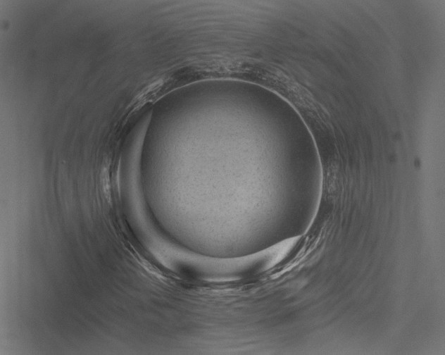 X0000051271202200506171218