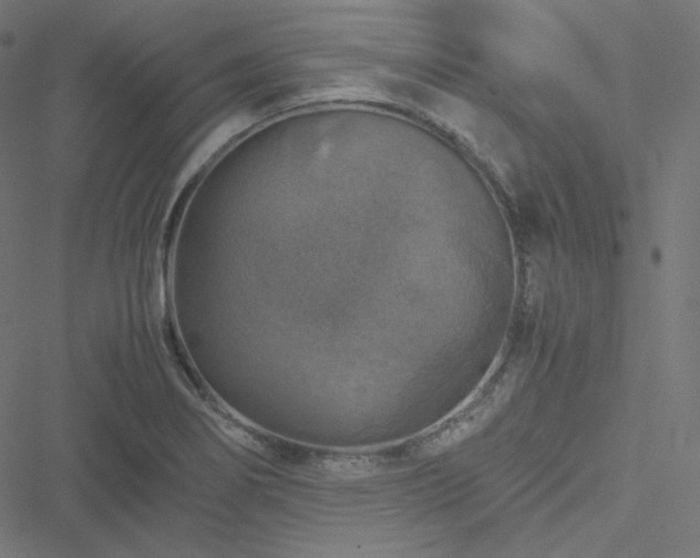 X0000051271274200506171217