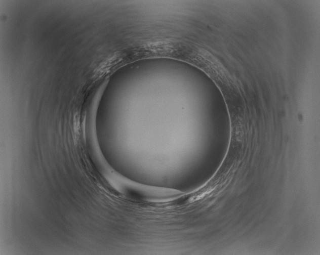 X0000051271298200506171216