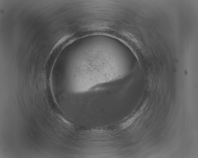 X0000051271306200506171216