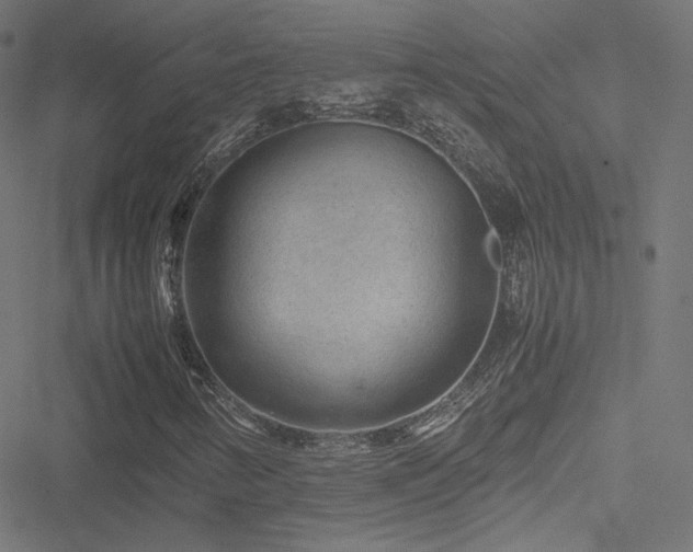 X0000051271346200506171216