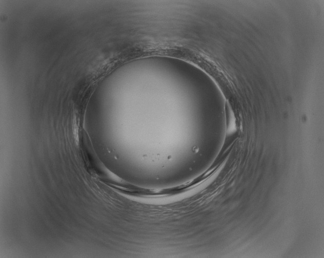 X0000051271348200506171216