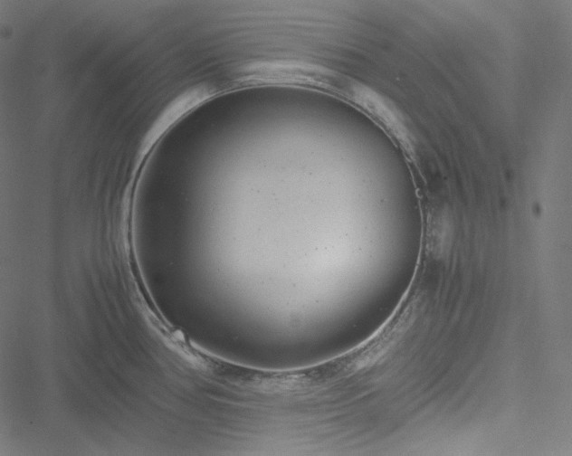 X0000051271386200506171216