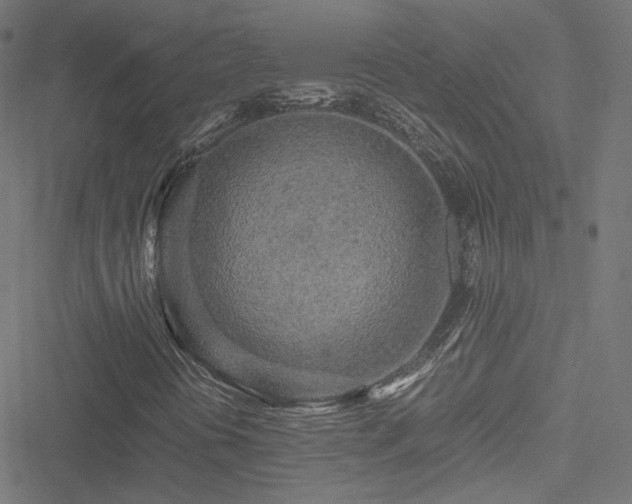 X0000051271394200506171215