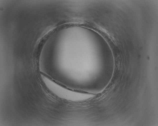 X0000051271448200506171215
