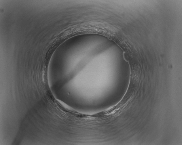 X0000051271490200506171213