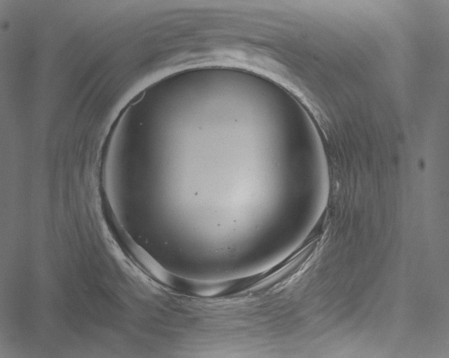 X0000051271534200506171214