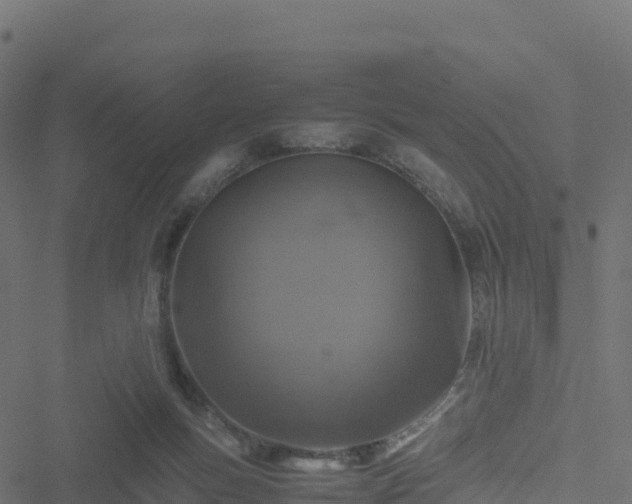 X0000051270167200506241646