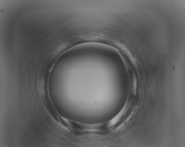 X0000051270201200506241646