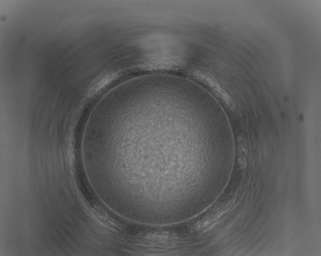 X0000051270631200506241638