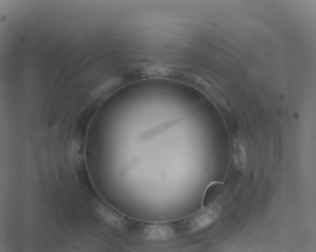 X0000051270714200506241637