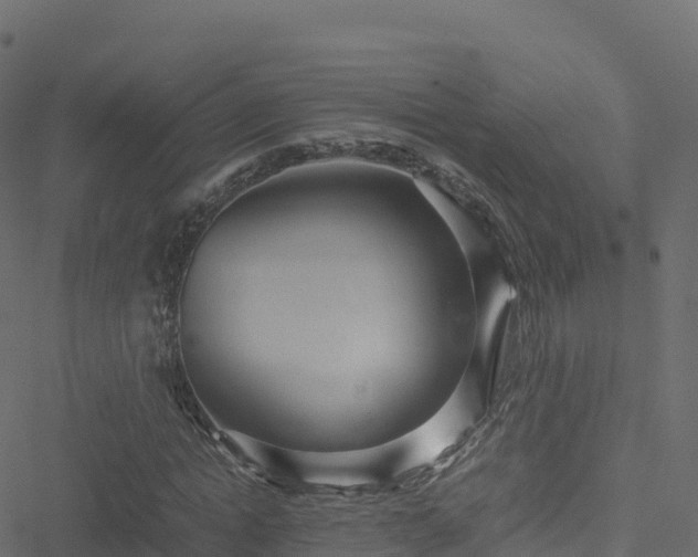 X0000051270822200506241635
