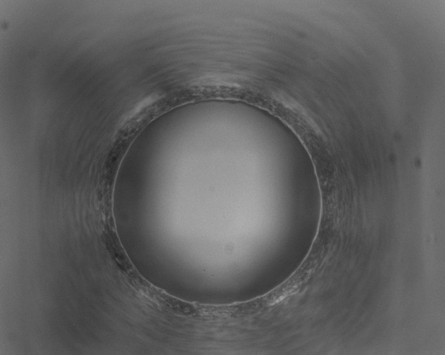 X0000051270870200506241635