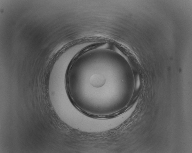 X0000051270871200506241635
