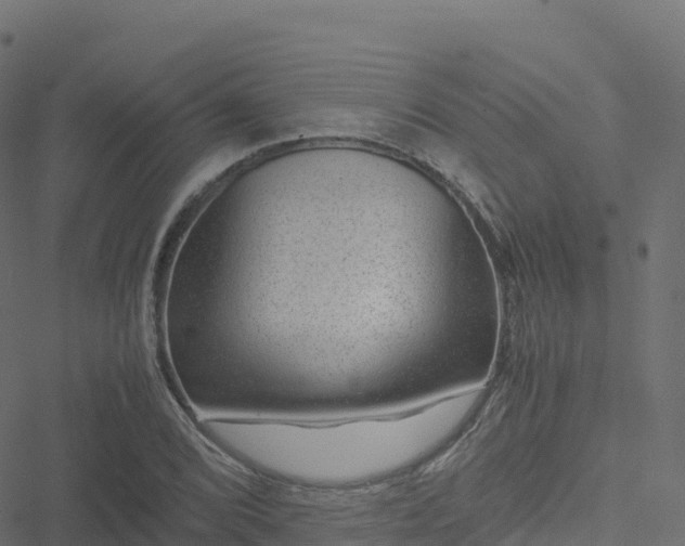 X0000051271072200506241631