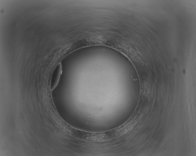 X0000051271201200506241629