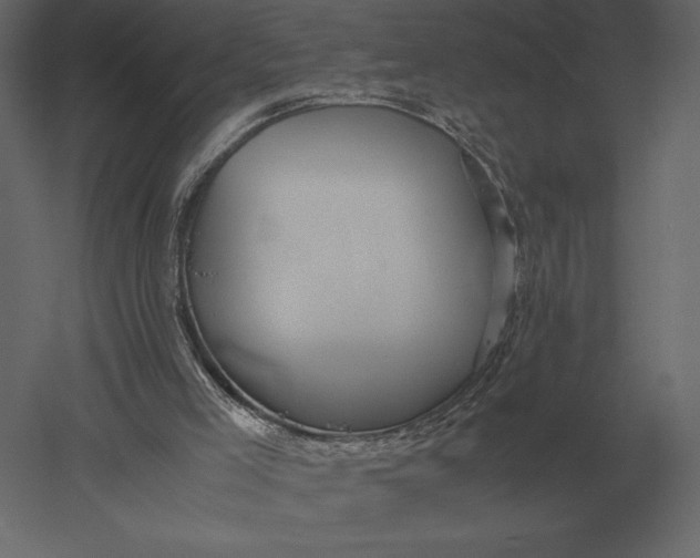 X0000051270005200507011757
