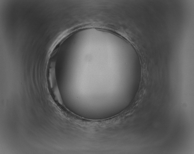 X0000051270007200507011757