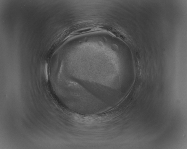 X0000051270022200507011756