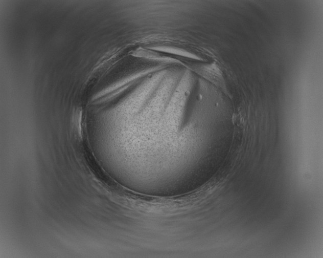 X0000051270024200507011756