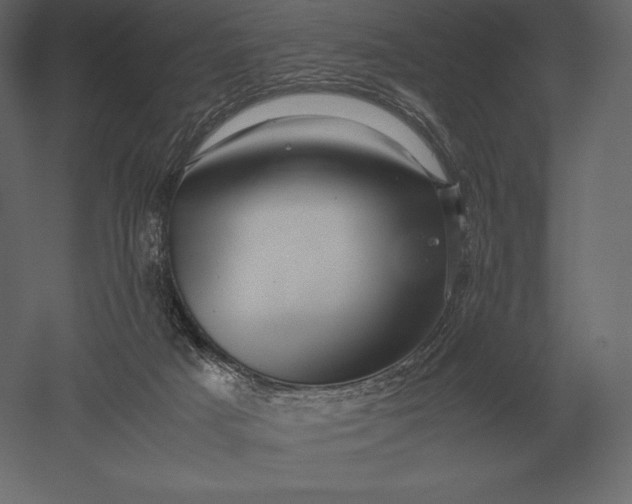 X0000051270025200507011756