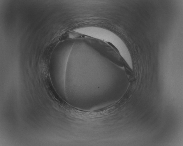X0000051270031200507011756
