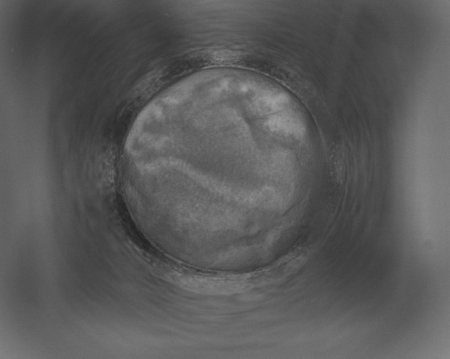 X0000051270032200507011756