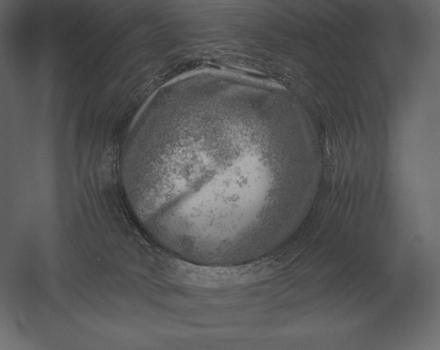 X0000051270034200507011756