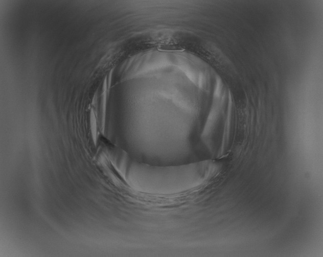 X0000051270035200507011756