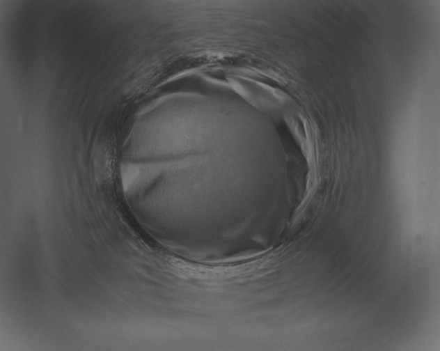 X0000051270039200507011756