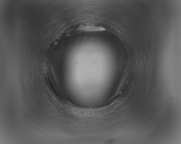 X0000051270040200507011756