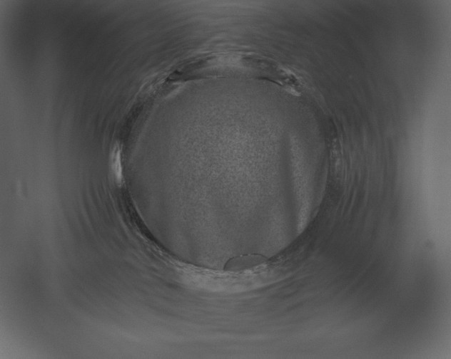 X0000051270042200507011756