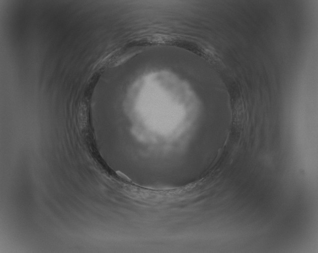 X0000051270043200507011756