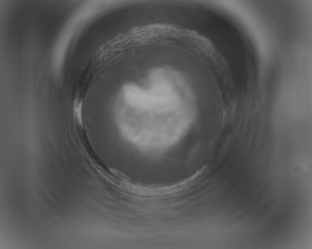 X0000051270047200507011756
