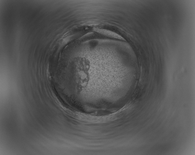X0000051270048200507011756