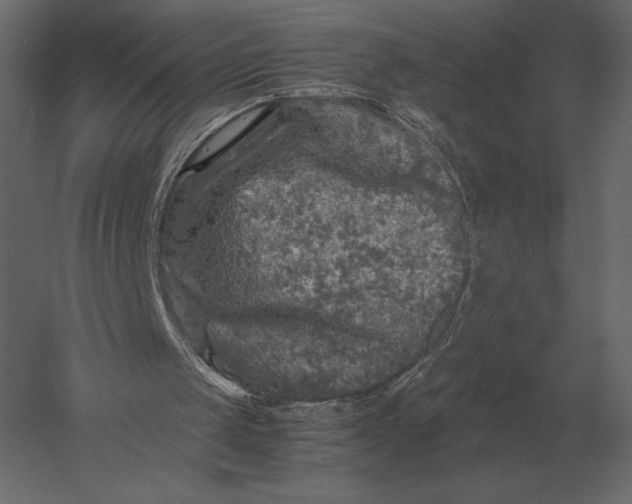 X0000051270049200507011755