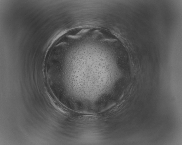 X0000051270050200507011755