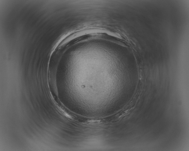 X0000051270052200507011755