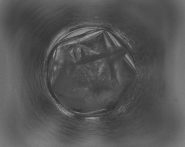 X0000051270053200507011755