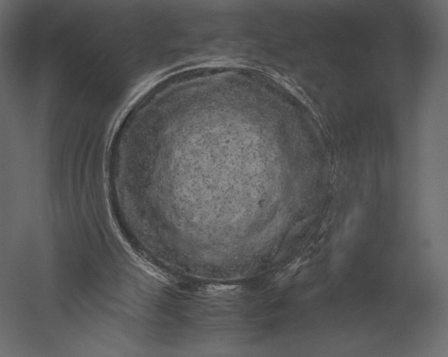 X0000051270055200507011755