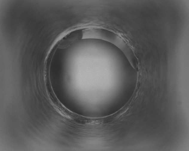 X0000051270056200507011755