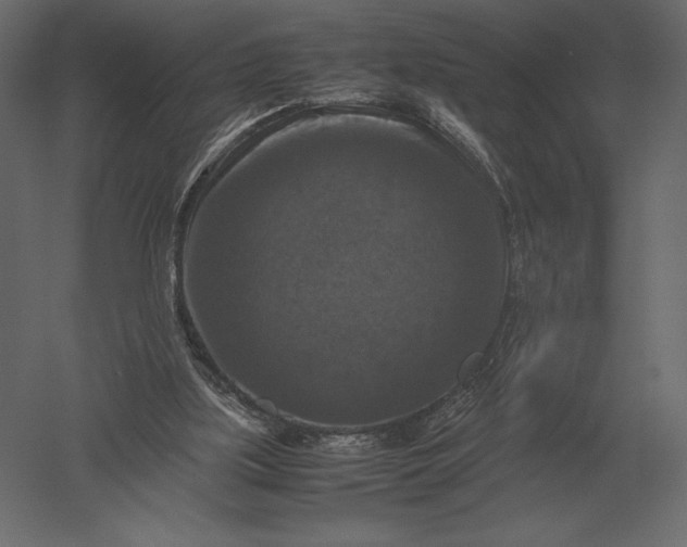 X0000051270059200507011755
