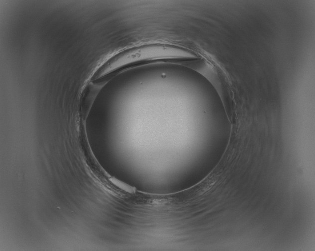 X0000051270060200507011755
